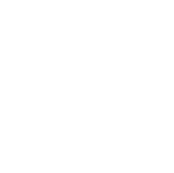 Minerva® Baccalaureate
